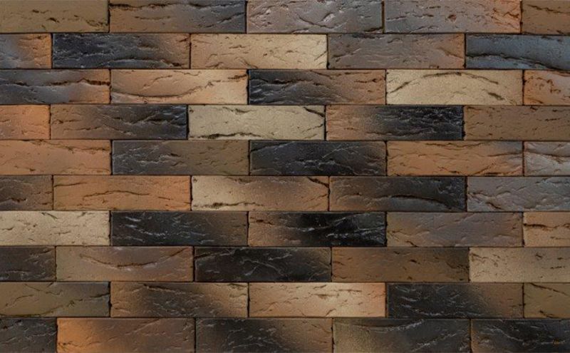 Кирпич BRAER PRO X1, 250*120*65 мм