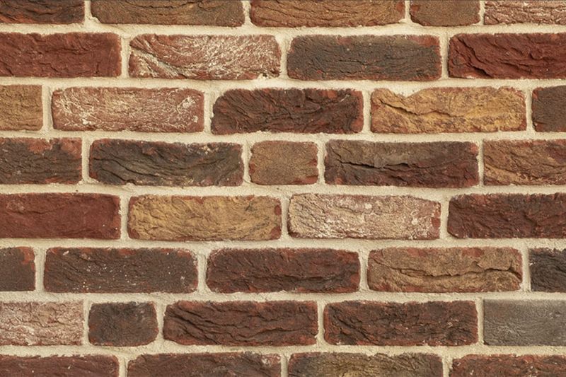 Кирпич облицовочный  Тандем (Донские зори)Дубна вековой, 215*102*65 мм