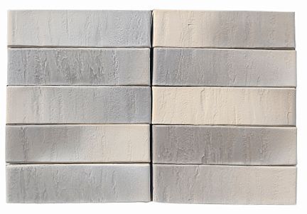 Кирпич облицовочный пустотелый 0,7НФ 1-81-00-2-00 Recke