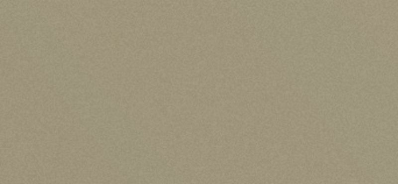 Сайдинг CEDRAL (Кедрал) Lap smooth С03