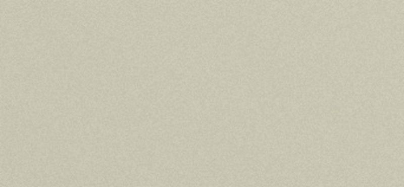 Сайдинг CEDRAL (Кедрал) Lap smooth С08