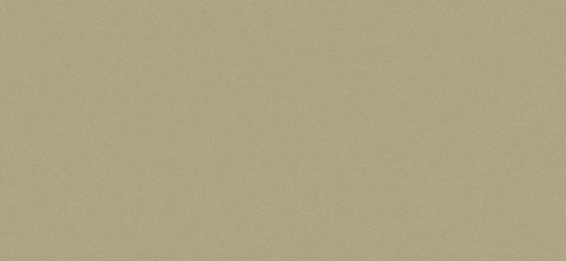 Сайдинг CEDRAL (Кедрал) Lap smooth С57